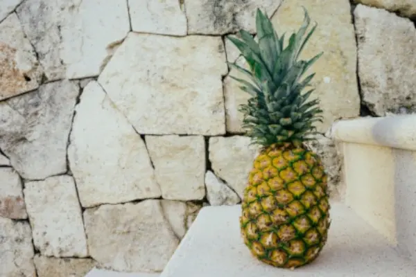 Katı Meyve Sıkacağı Nasıl Kullanılır?