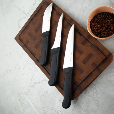 Aryıldız 3 Parça Kurban Bıçak Seti - ARYILDIZ