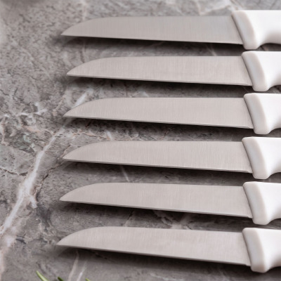 Aryıldız 6 Parça Meyve Bıçağı Beyaz 8 cm - 2
