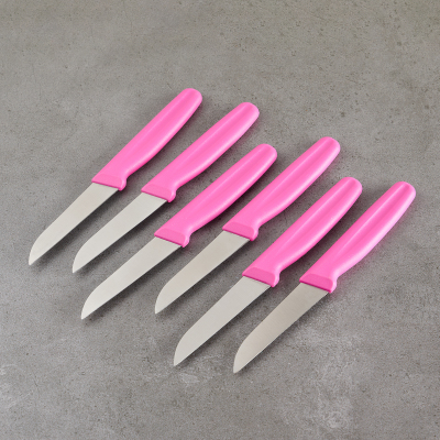 Aryıldız 6 Parça Meyve Bıçağı Lila 8 cm - 3