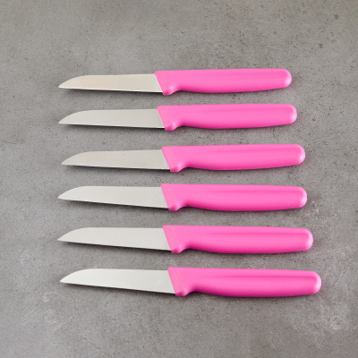 Aryıldız 6 Parça Meyve Bıçağı Lila 8 cm - 4