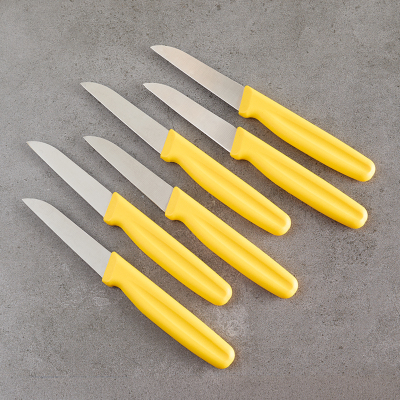 Aryıldız 6 Parça Meyve Bıçağı Sarı 8 cm - 2