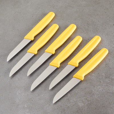 Aryıldız 6 Parça Meyve Bıçağı Sarı 8 cm - 3