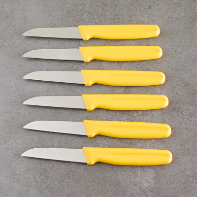 Aryıldız 6 Parça Meyve Bıçağı Sarı 8 cm - 4