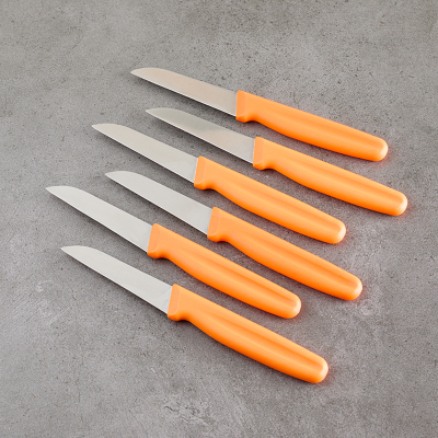 Aryıldız 6 Parça Meyve Bıçağı Turuncu 8 cm - 2