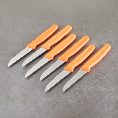 Aryıldız 6 Parça Meyve Bıçağı Turuncu 8 cm - 3