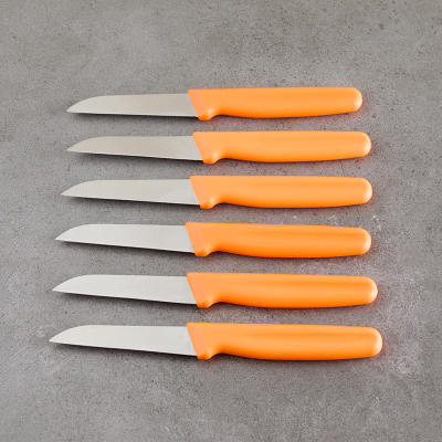 Aryıldız 6 Parça Meyve Bıçağı Turuncu 8 cm - 4