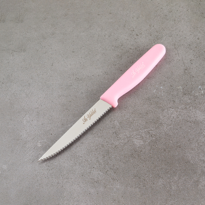 Aryıldız Basic Dişli Sebze Bıçağı Pembe 11 cm - 2