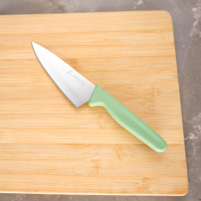 Aryıldız Daily Mini Şef Bıçak Psl Yeşili 23 cm - 2