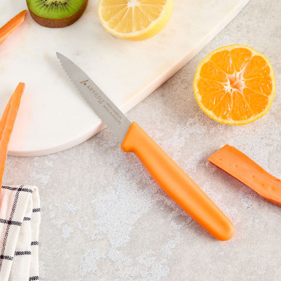 Aryıldız Daily Tırtıklı Meyve Bıçağı Turuncu 9 cm - ARYILDIZ