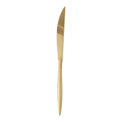 Aryıldız Linea Gold 24 Parça 6 Kişilik Çatal Kaşık Bıçak Takımı - 5