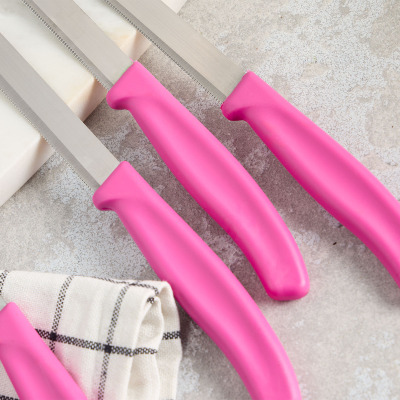 Aryıldız Mira 6 Parça Dişli Meyve Bıçak Seti Fuşya - 2