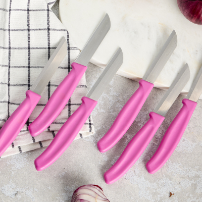 Aryıldız Mira 6 Parça Meyve Bıçak Seti Fuşya - 3