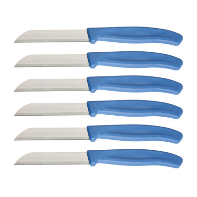 Aryıldız Mira 6 Parça Meyve Bıçak Seti İndigo - 4