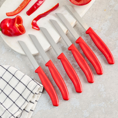 Aryıldız Mira 6 Parça Meyve Bıçak Seti Kırmızı - 2