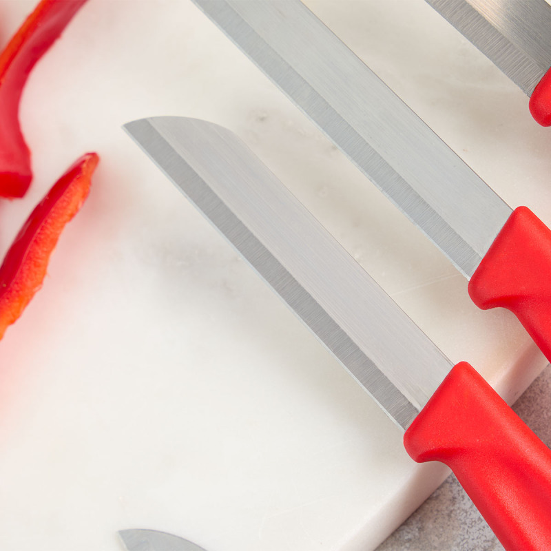 Aryıldız Mira 6 Parça Meyve Bıçak Seti Kırmızı - 3