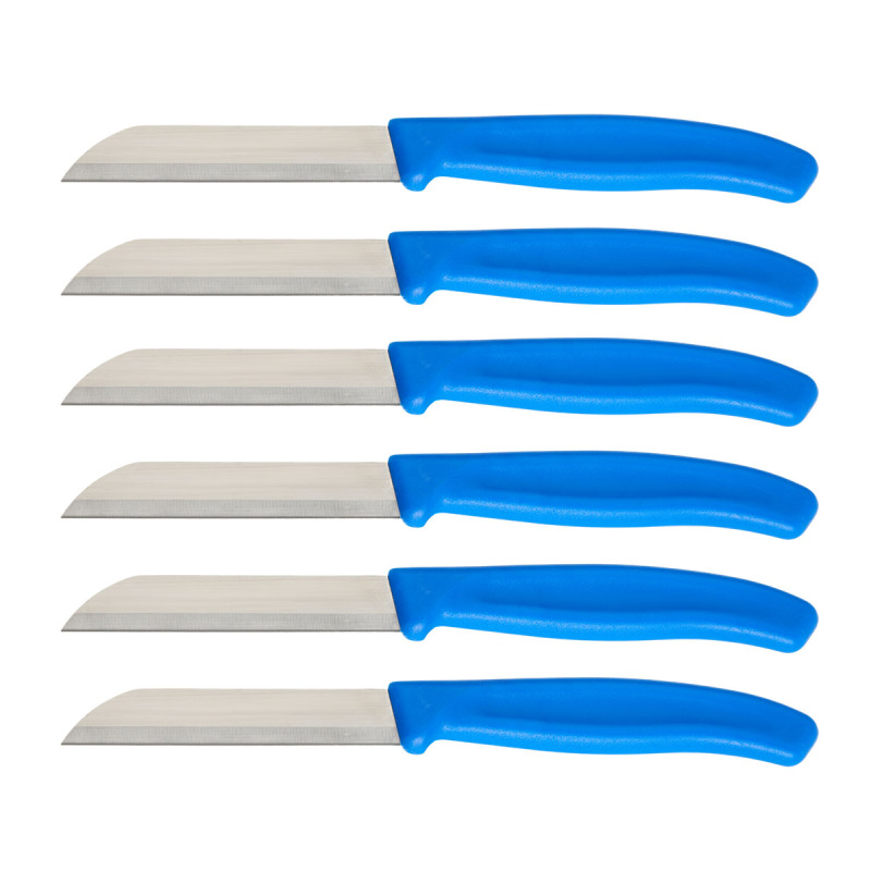 Aryıldız Mira 6 Parça Meyve Bıçak Seti Mavi - 4