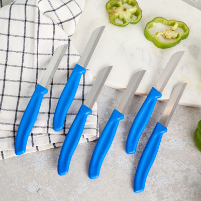 Aryıldız Mira 6 Parça Meyve Bıçak Seti Mavi - 1