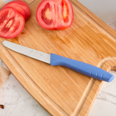 Aryıldız Primo Domates Bıçağı İndigo 10 cm - 1