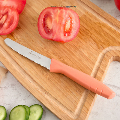 Aryıldız Primo Domates Bıçağı Somon 10 cm - 1