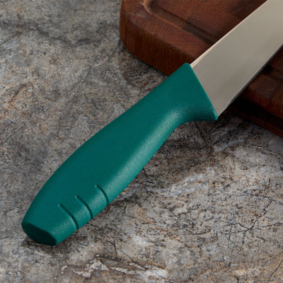 Aryıldız Primo Et Bıçağı Petrol Yeşili 14,5 cm - 3