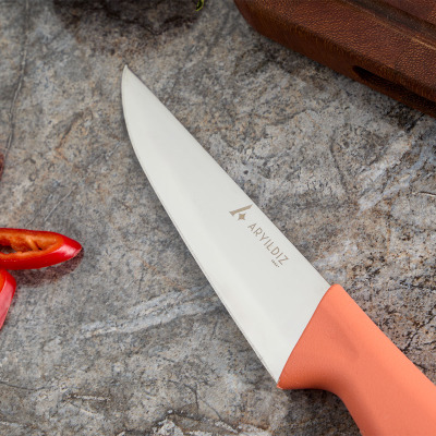 Aryıldız Primo Et Bıçağı Somon 14,5 cm - 2