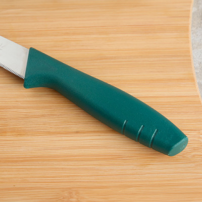 Aryıldız Primo Lazer Ekmek Bıçağı Yeşil 17 cm - 3