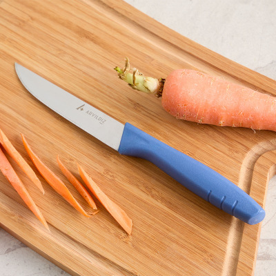 Aryıldız Primo Sebze Bıçağı Indigo 11 cm - ARYILDIZ