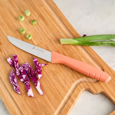 Aryıldız Primo Sebze Bıçağı Somon 11 cm - ARYILDIZ