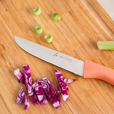 Aryıldız Primo Sebze Bıçağı Somon 11 cm - 3