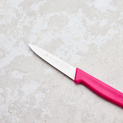 Aryıldız Solo Sebze Bıçağı Pembe 10 cm - 5
