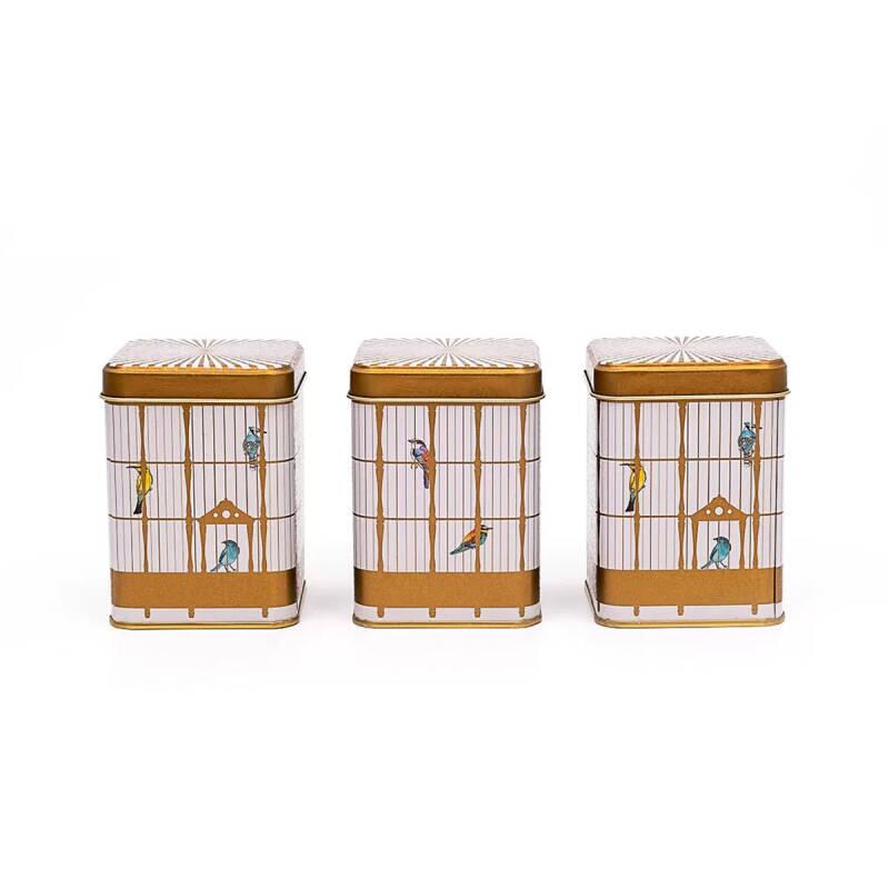 Evle Birdcage Kare Saklama Set Mini 3 Parça - 1