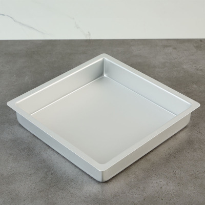 Guardini Pro Fırın Tepsisi 26X26 Cm - 2