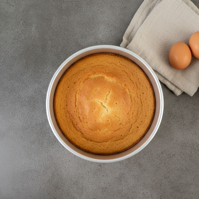 Guardini Pro Kelepçeli Kek Kalıbı 20 cm - 2