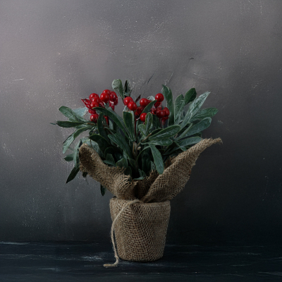 Koopman New Year Berries 28 cm - KOOPMAN