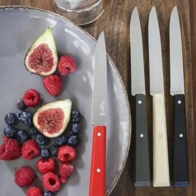 Opinel Bon Apetit Loft Sofra 4 Parça Bıçak Seti No:125 - 2