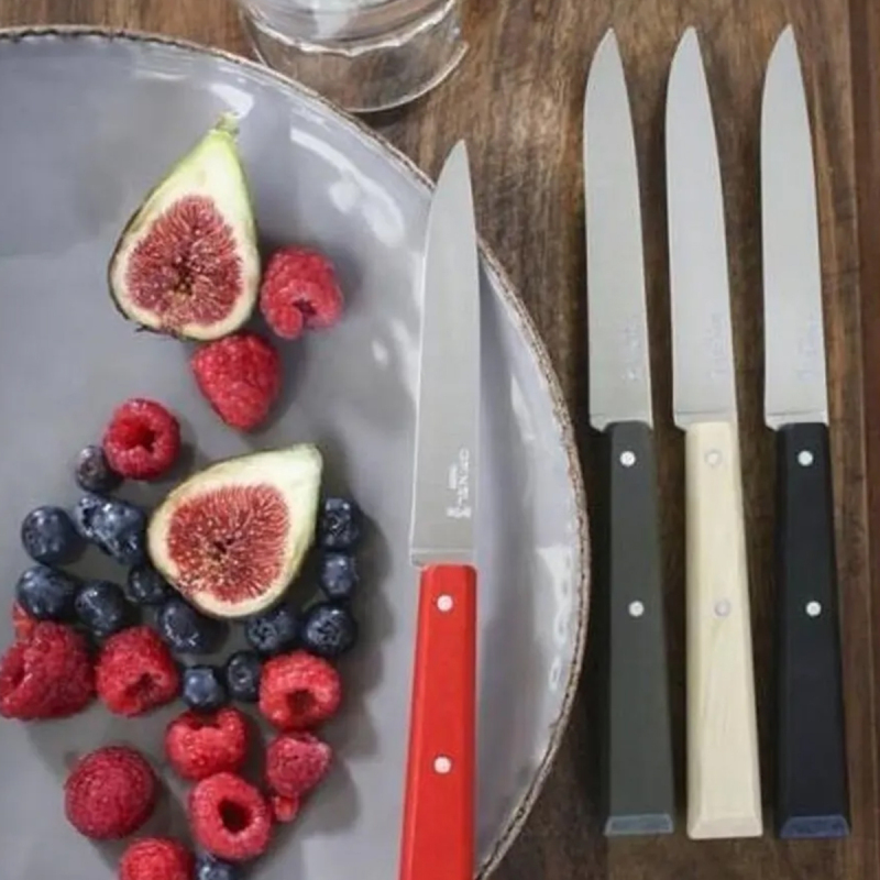 Opinel Bon Apetit Loft Sofra 4 Parça Bıçak Seti No:125 - 2