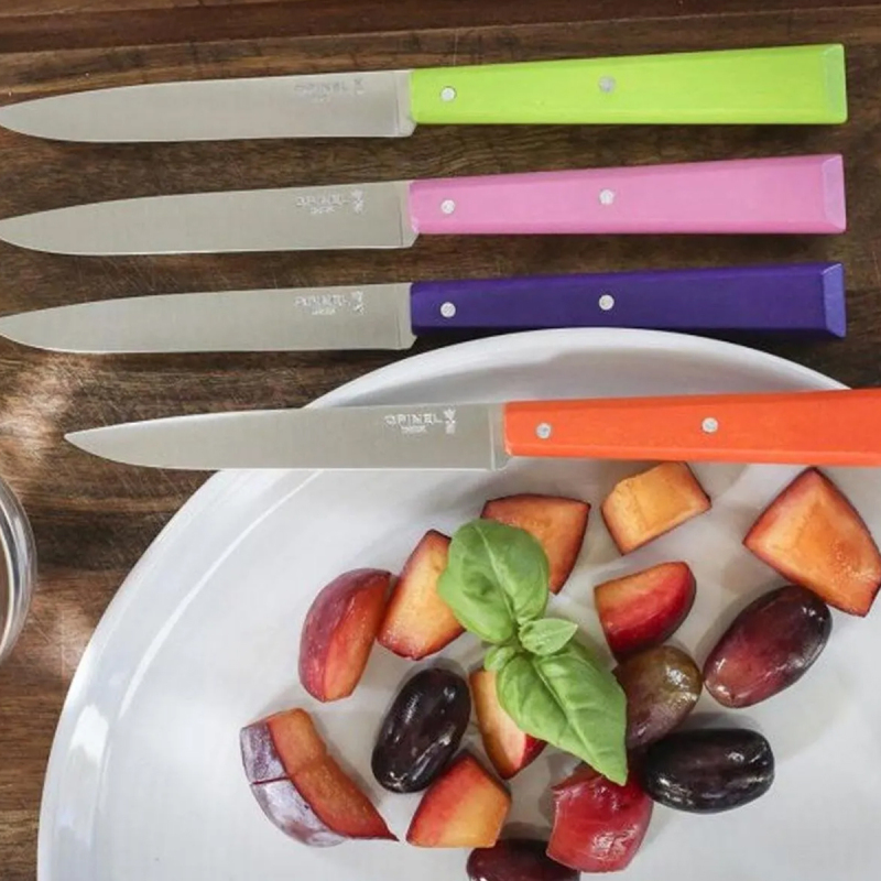 Opinel Bon Apetit Pop Sofra 4 Parça Bıçak Seti No:125 - 1