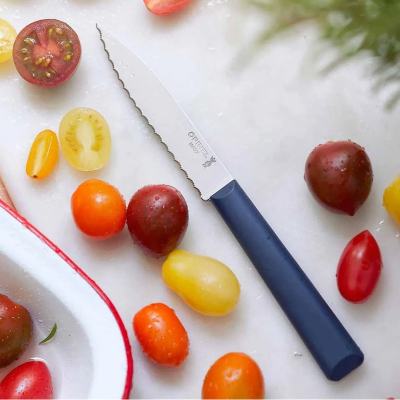 Opinel Essential Tırtıklı Mavi Soyma Bıçağı 10 cm - OPINEL
