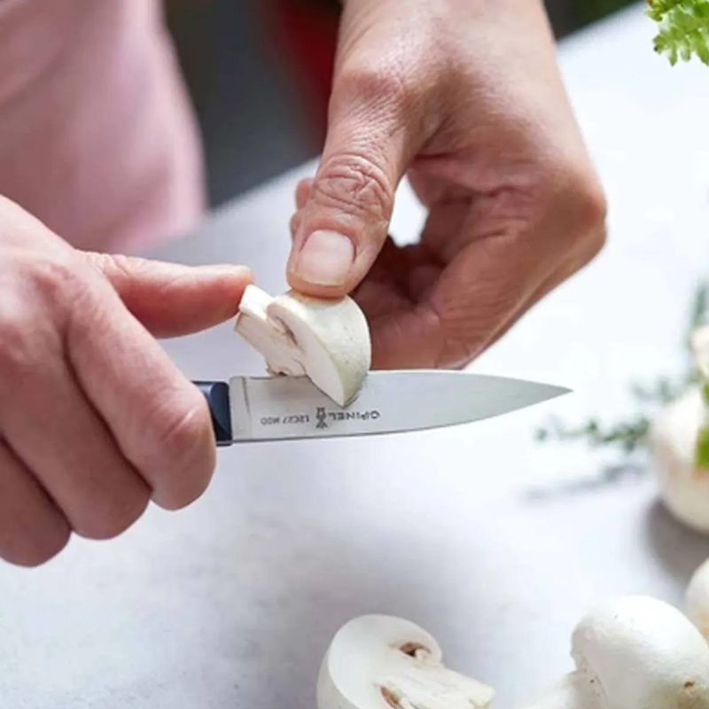 Opinel Intempora Soyma Bıçağı 10 cm No:225 - 2