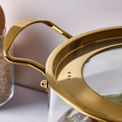 Perotti Logan Gold Kapaklı Cam Tencere 5,5 L 20x20 cm - 3