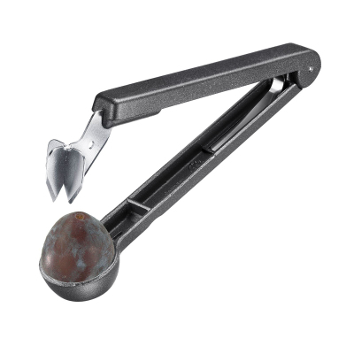 Westmark Erik Çekirdeği Çıkarıcı - WESTMARK